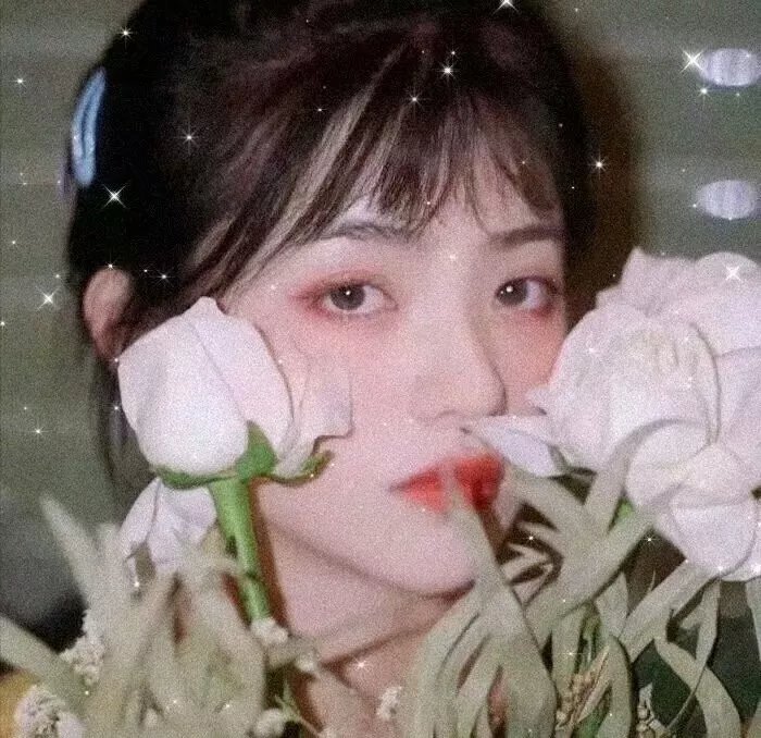 星星知我心